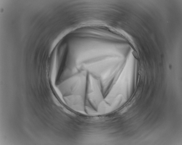 X0000077391390200611101743