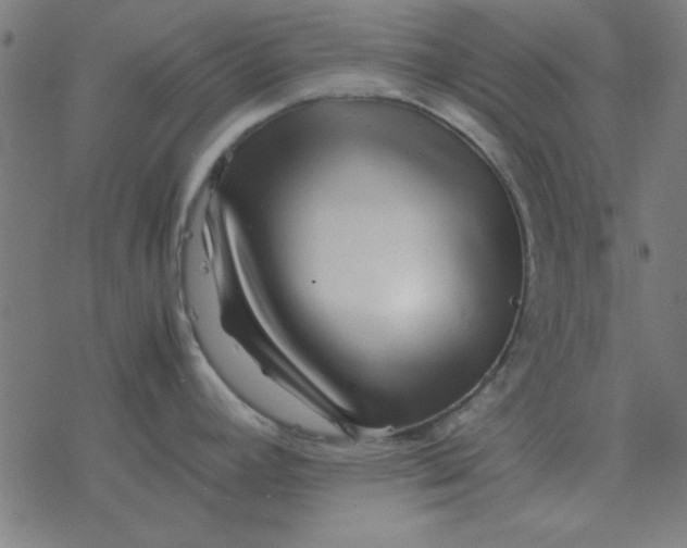 X0000077391392200611101743