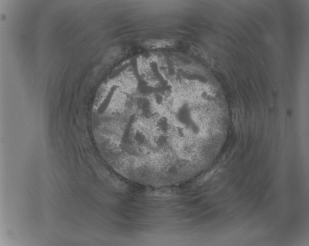 X0000077391393200611101743