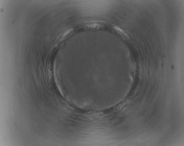 X0000077391394200611101743