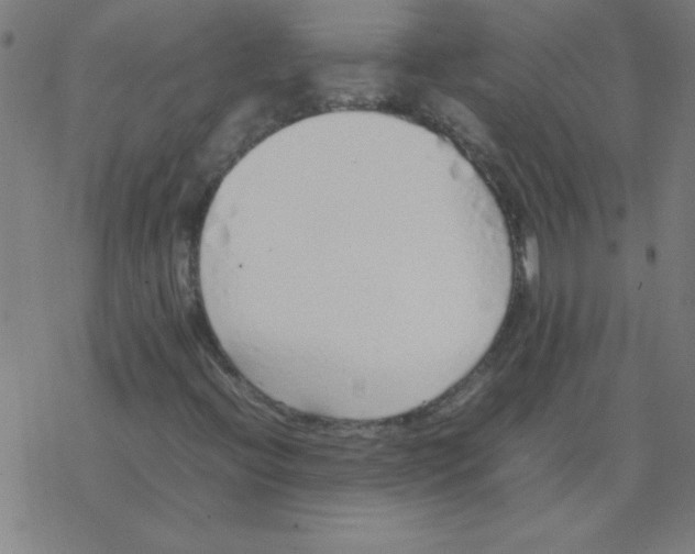 X0000077391396200611101743