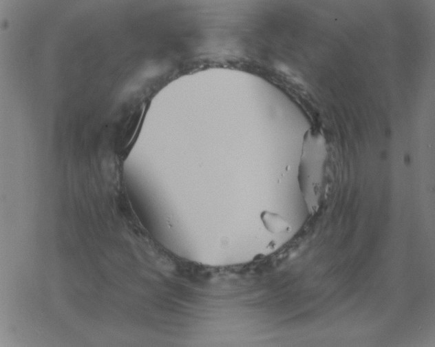 X0000077391398200611101743