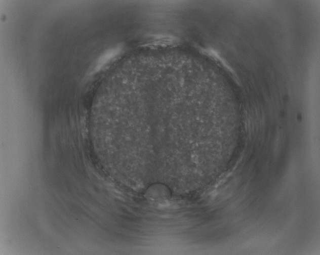 X0000077391399200611101743