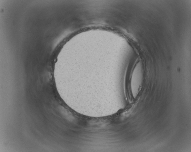 X0000077391400200611101743