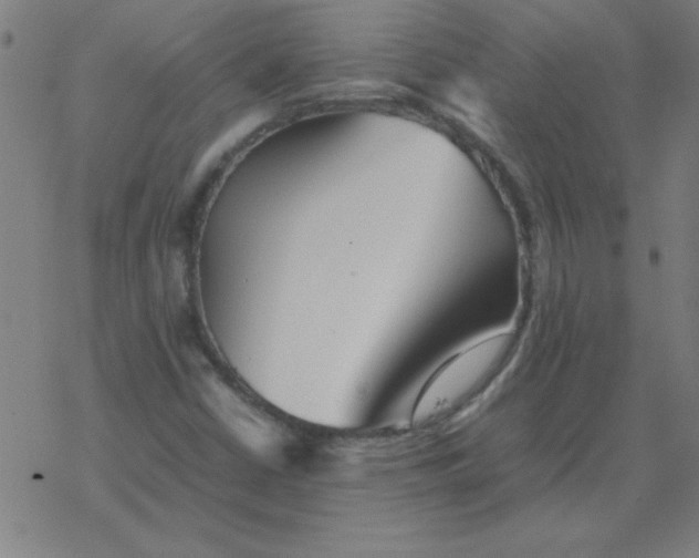 X0000077391402200611101743