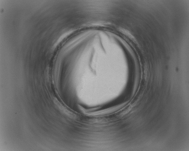 X0000077391404200611101743