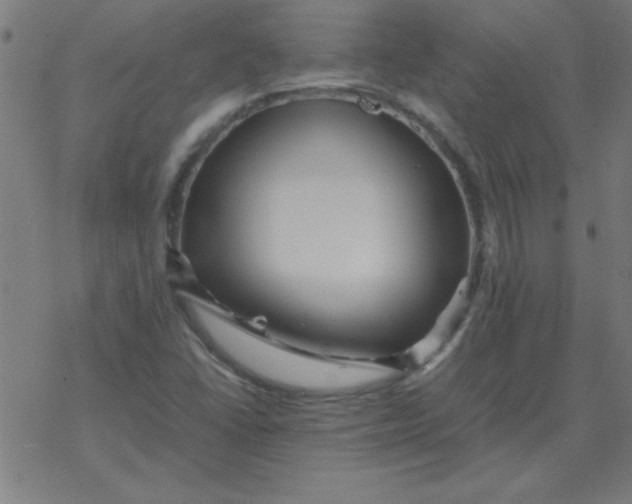 X0000077391406200611101743