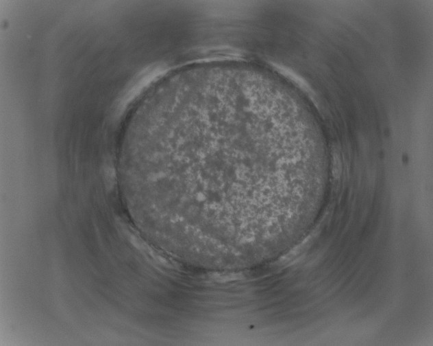 X0000077391407200611101743