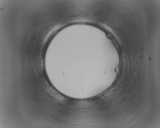 X0000077391408200611101743