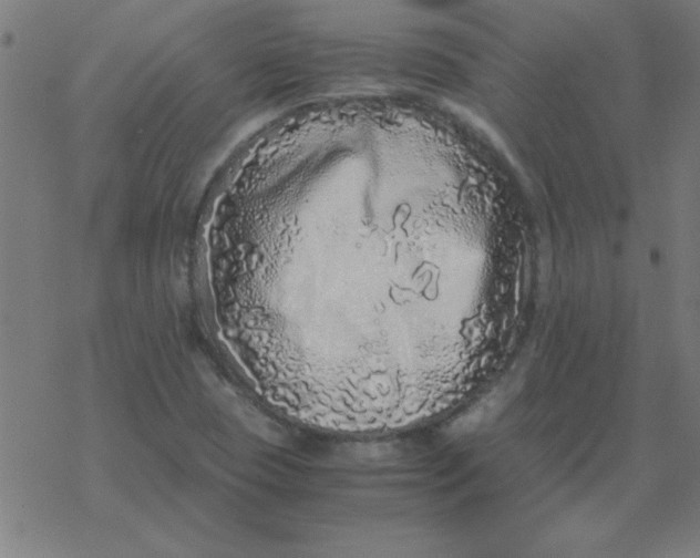 X0000077391409200611101743