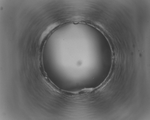 X0000077391410200611101743