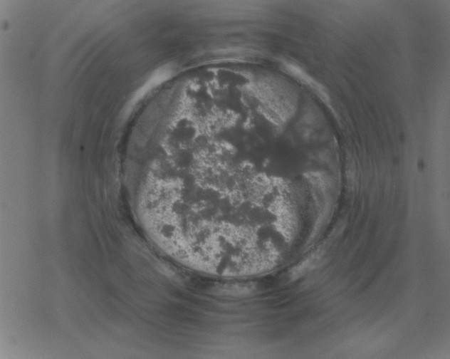 X0000077391411200611101743