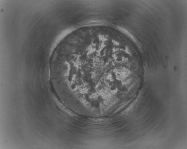 X0000077391413200611101743