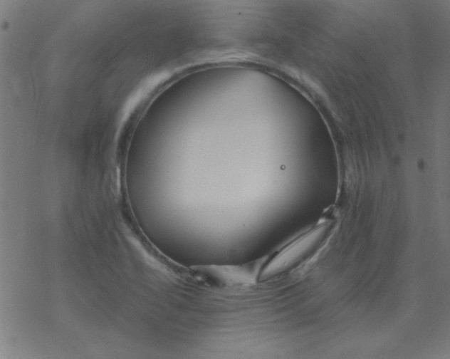 X0000077391414200611101743