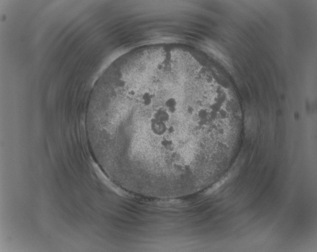 X0000077391417200611101743