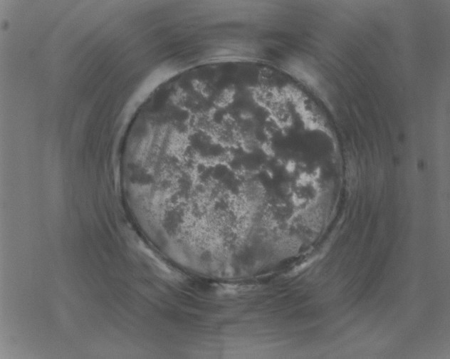 X0000077391419200611101743