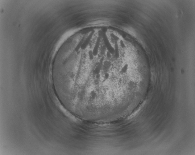 X0000077391421200611101743