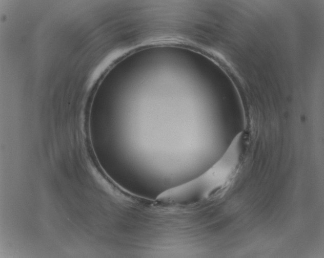 X0000077391422200611101743