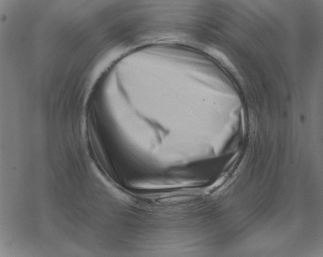 X0000077391424200611101743