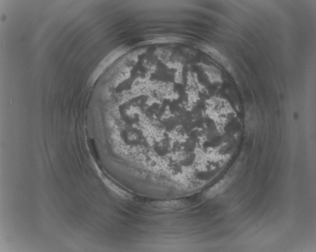 X0000077391425200611101743