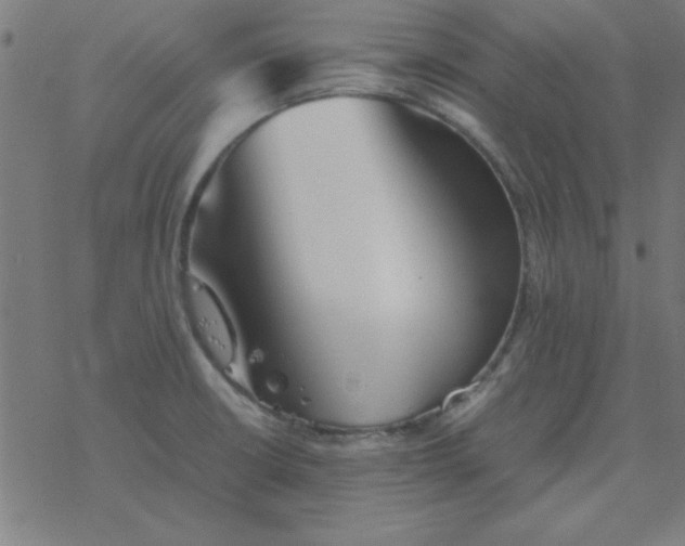 X0000077391426200611101743