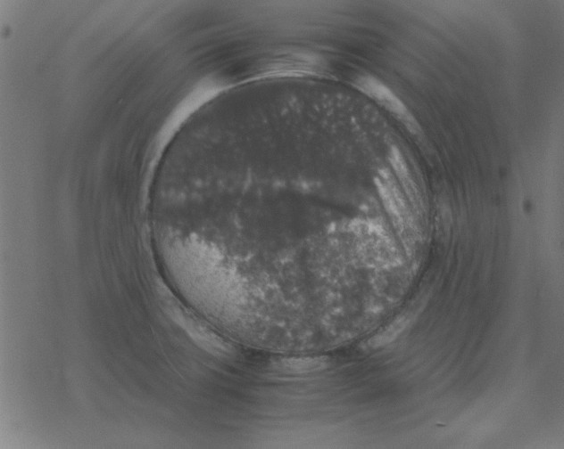 X0000077391427200611101743