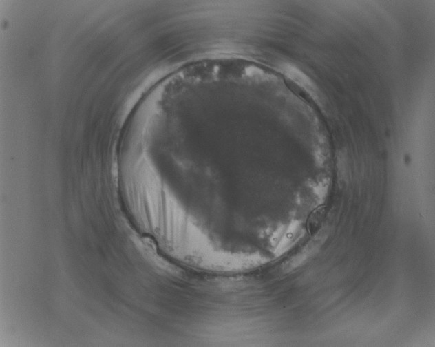 X0000077391428200611101743