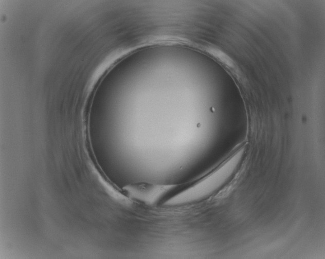 X0000077391430200611101743