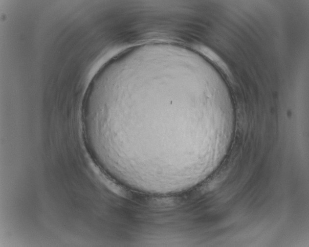 X0000077391431200611101743