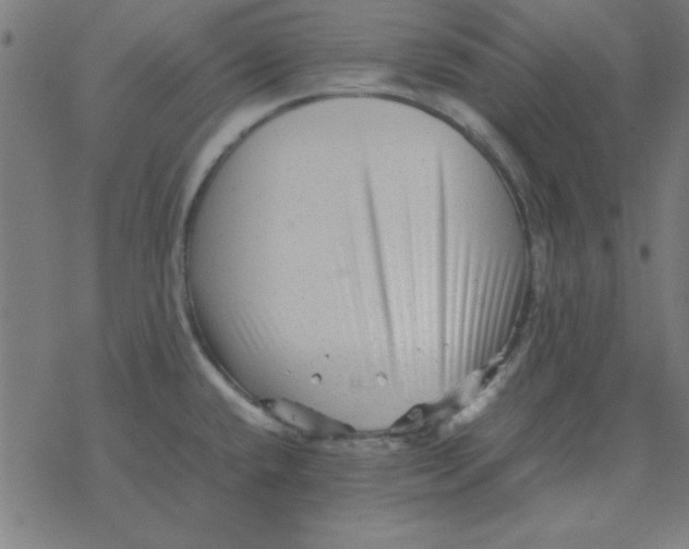 X0000077391432200611101743