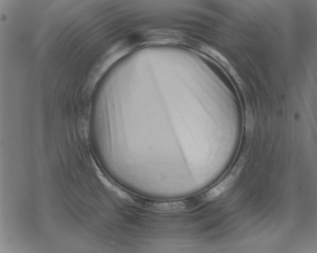 X0000077391433200611101743