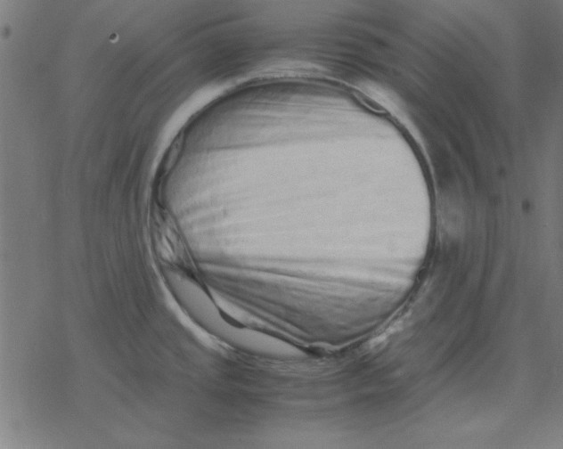 X0000077391437200611101743