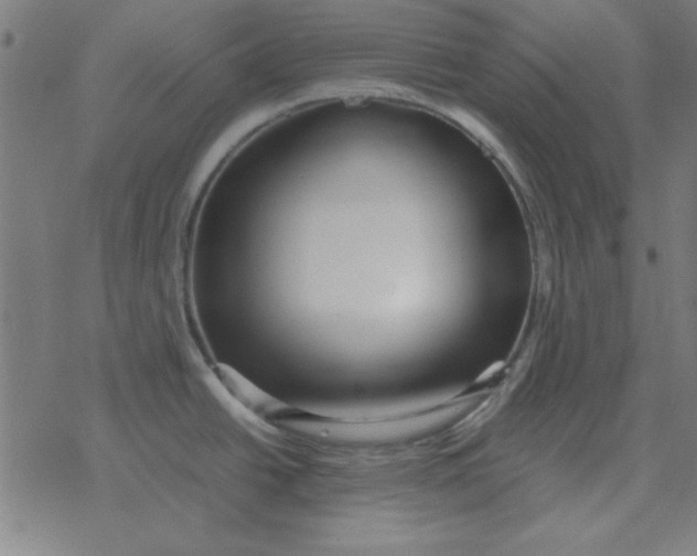 X0000077391438200611101743