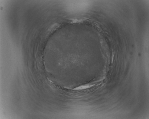 X0000077391441200611101742