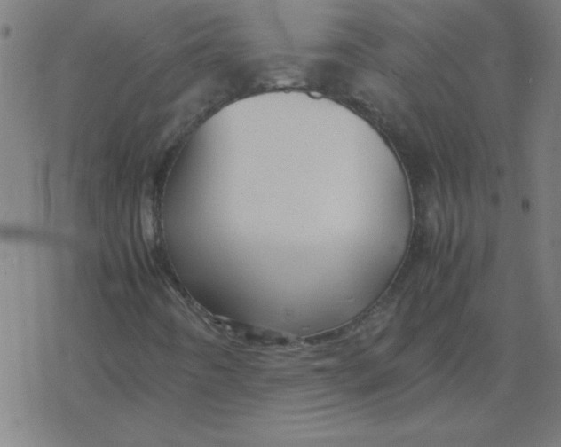 X0000077391442200611101742