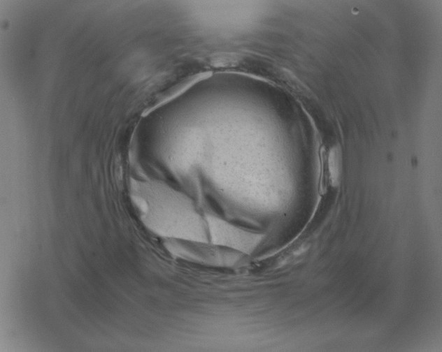 X0000077391443200611101742