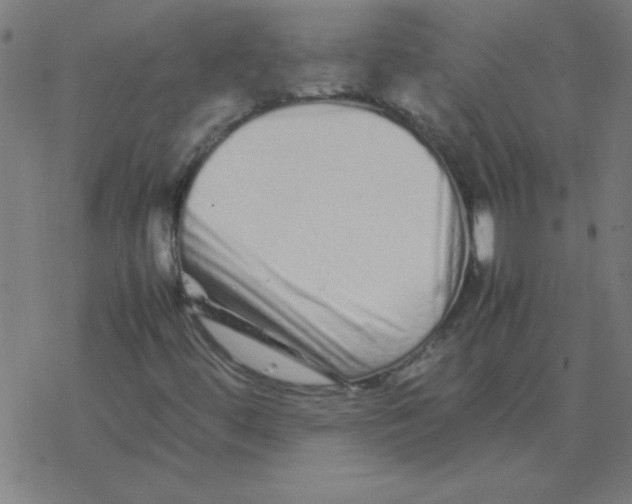 X0000077391444200611101742