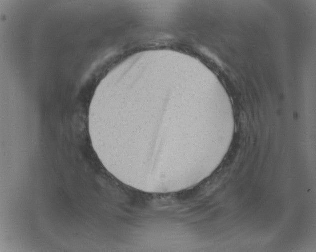 X0000077391447200611101742