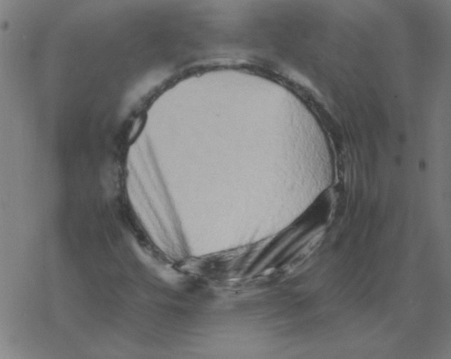 X0000077391448200611101742