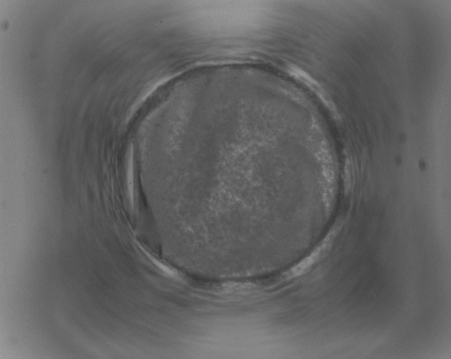 X0000077391449200611101742