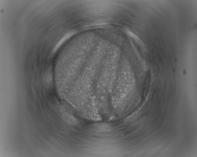 X0000077391450200611101742