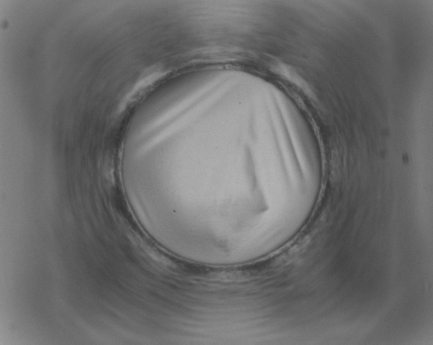 X0000077391451200611101742