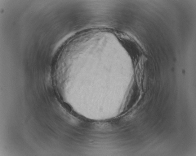 X0000077391452200611101742