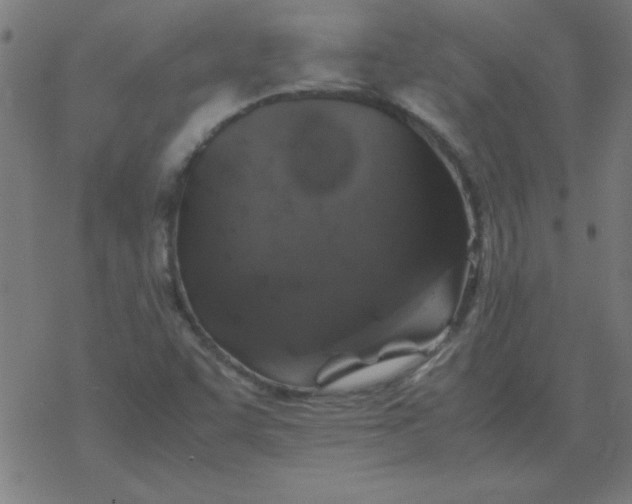 X0000077391455200611101742