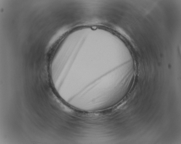 X0000077391456200611101742