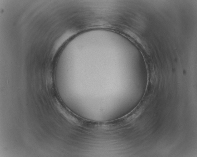 X0000077391458200611101742