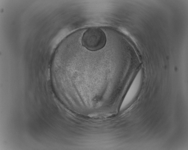 X0000077391459200611101742