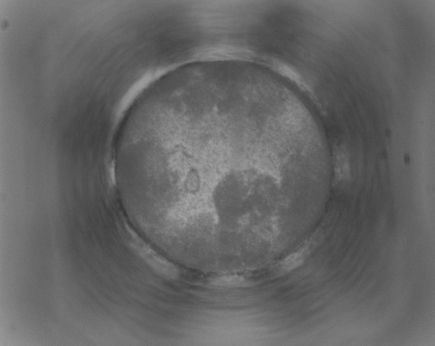 X0000077391462200611101742