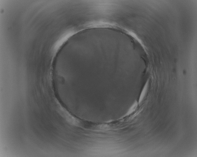 X0000077391463200611101742