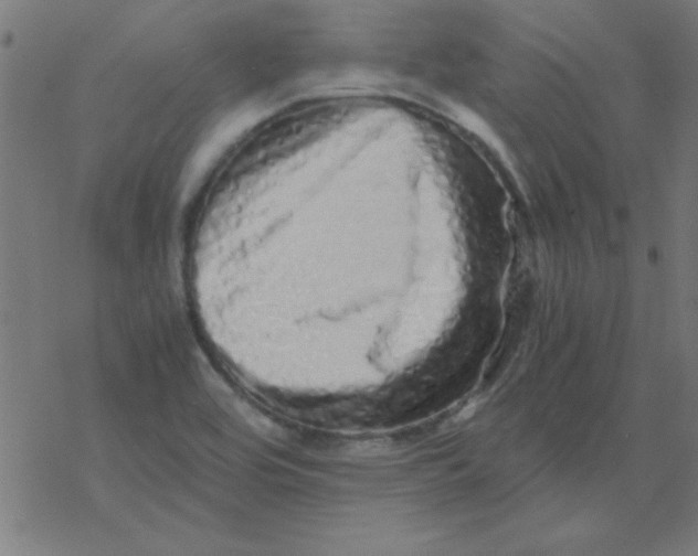 X0000077391464200611101742